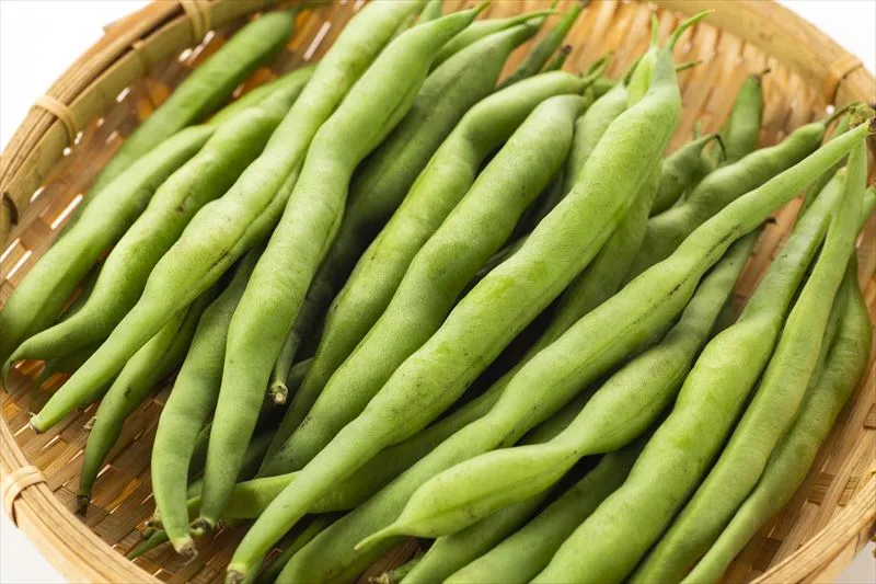 いんげん豆に含まれる栄養とは？