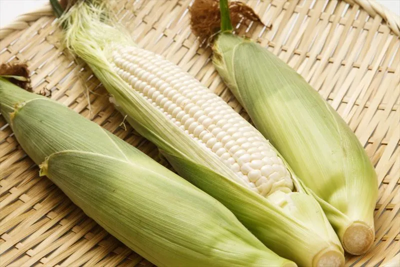 ホワイトコーンの特徴は？